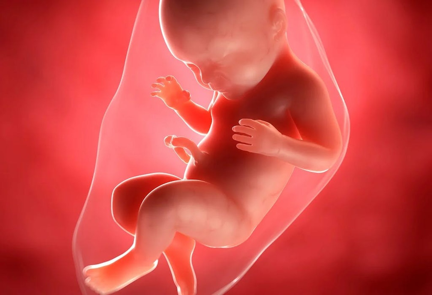 an image of a baby in the womb at 40 weeks