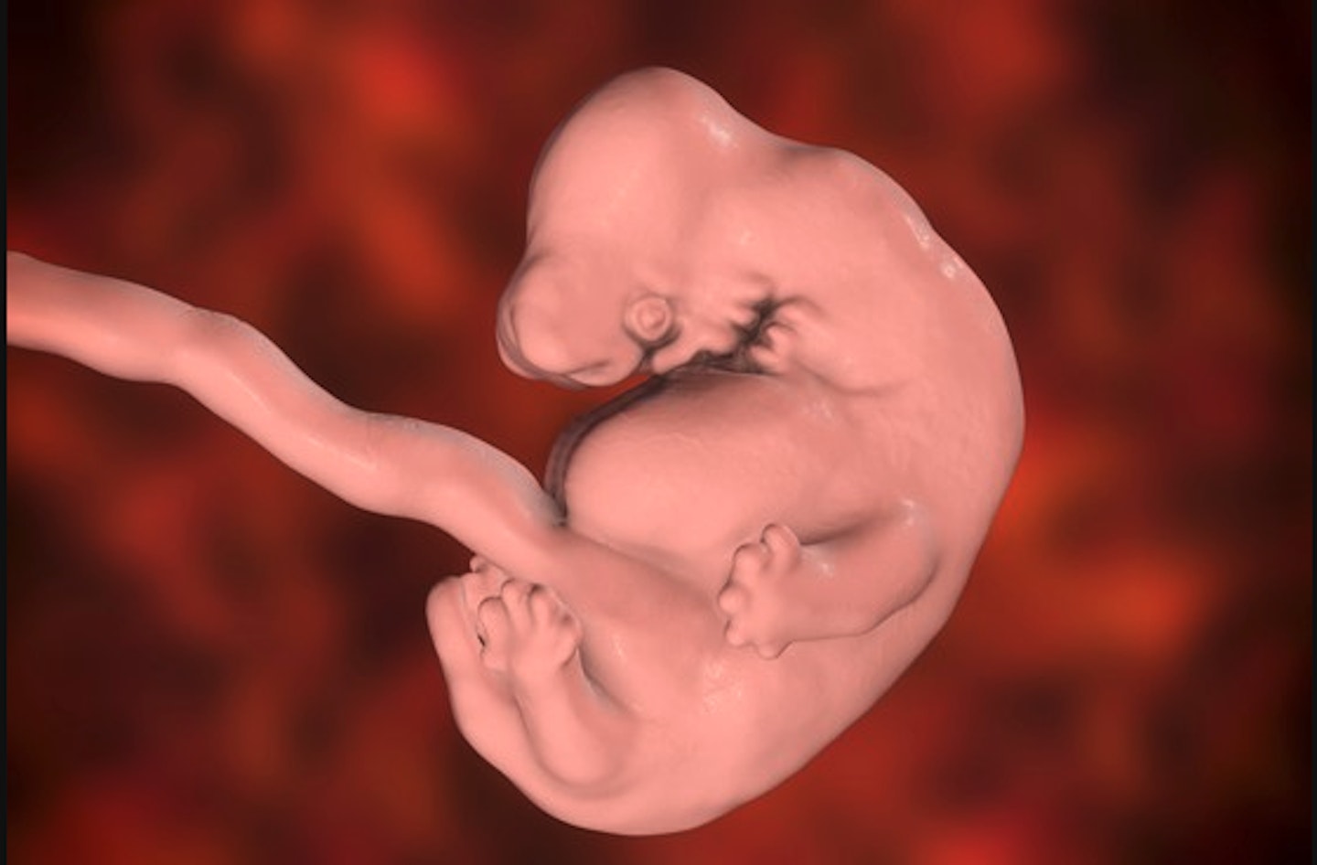 baby-six-weeks