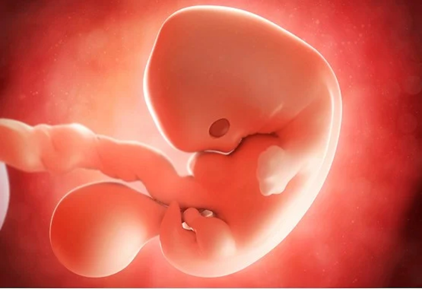 7 weeks pregnant
