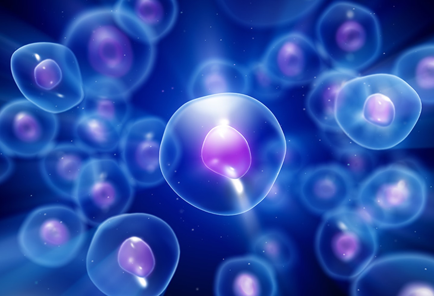 Image illustrating female reproductive eggs