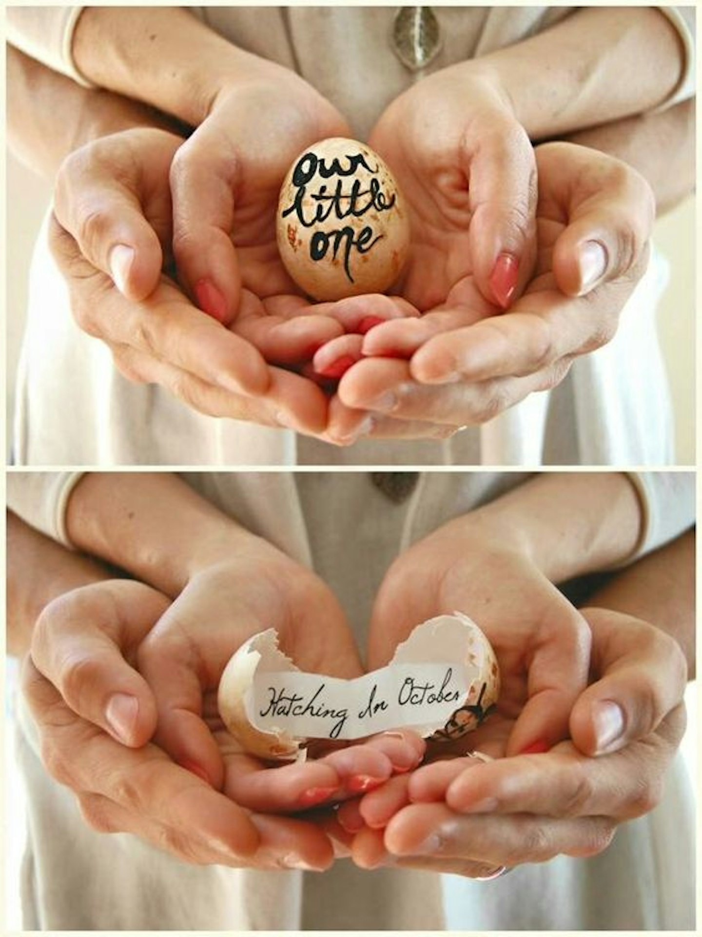 egg pregnancy announcement